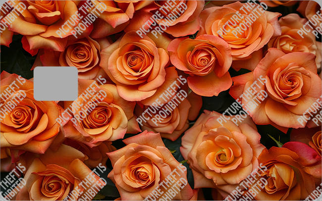 Bank  Card Sticker-BC-3678